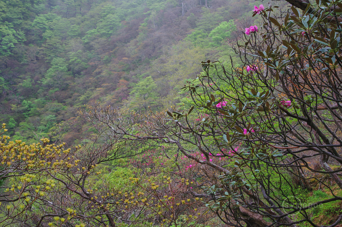お写ん歩: HD PENTAX-DA 55-300mmF4.5-6.3ED PLM WR REアーカイブ